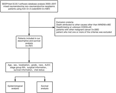 Comprehensive analysis of mixed neuroendocrine non-neuroendocrine neoplasms (MiNENs): A SEER database analysis of 767 cases